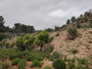 Cantalars, Pol.9, Parc. 123(A,B,C Y D) Y Parcela 233. Barranco De Montell 9