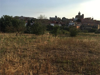 El Quinta De La Casa Nova ( Cl Panedes) 6