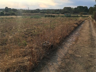 El Quinta De La Casa Nova ( Cl Panedes) 7