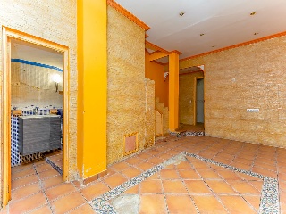 Collada 5