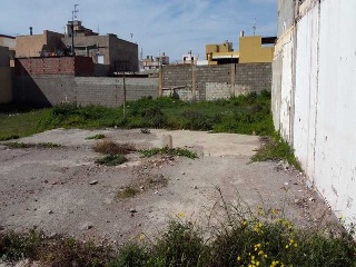 Juan Carlos I Y Camino Del Cementerio 10