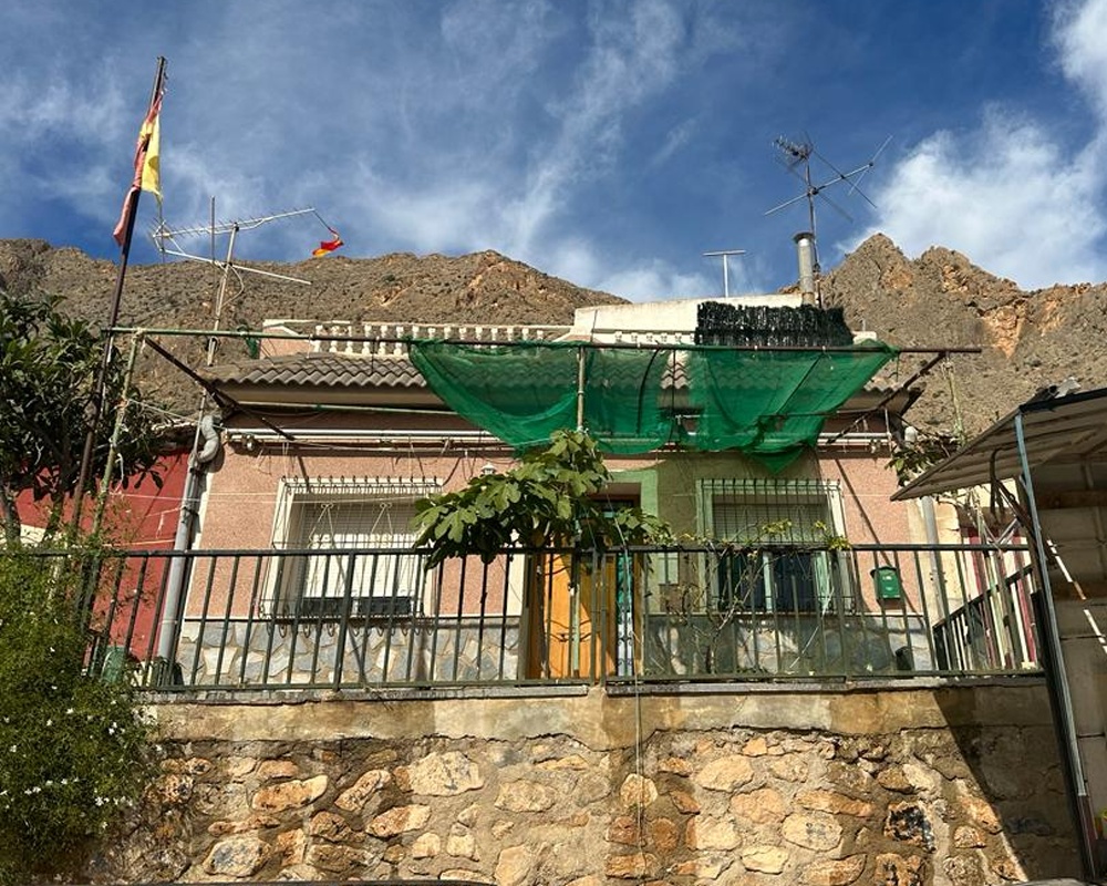 Colmenas