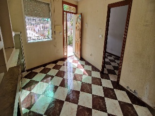 Colmenas 2