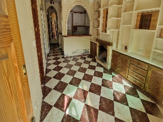 Colmenas 4
