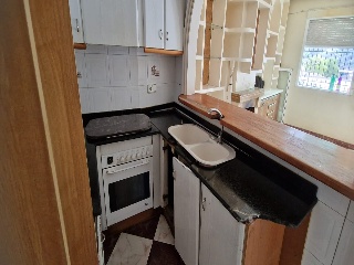Colmenas 5