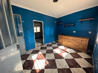 Colmenas 7