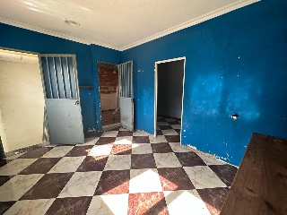 Colmenas 10