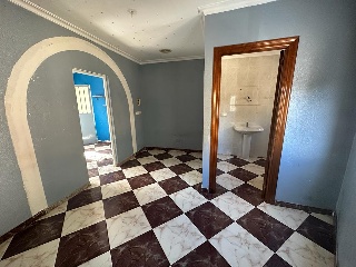 Colmenas 11