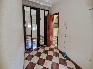 Colmenas 14