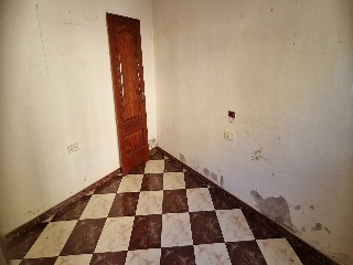 Colmenas 17