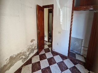 Colmenas 19