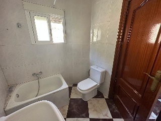 Colmenas 22