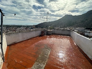Colmenas 23