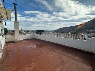 Colmenas 24