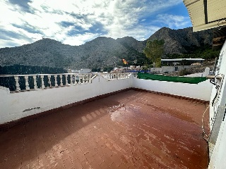 Colmenas 26
