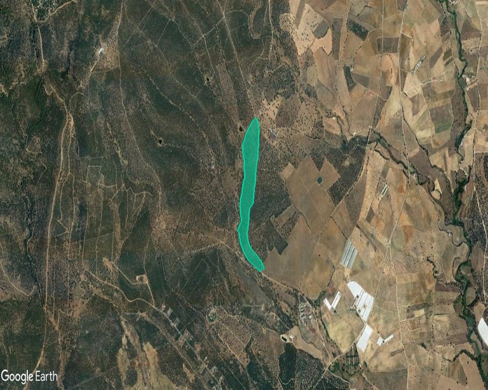 Paraje Las Hoyas Poligono 44