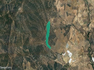 Paraje Las Hoyas Poligono 44 2