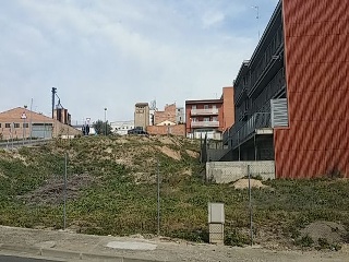 Bornio 5