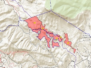 Praje Terol-Coco-Tossal Redo-Vibra-El Boter, Poligono 1-2, Parcela 70-1,7,8 Y 9 2