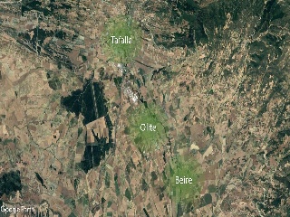 Artajona, Parcela D 5