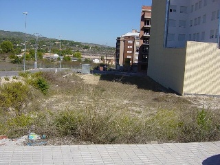 Alegría 7