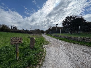 Rocabruna 2