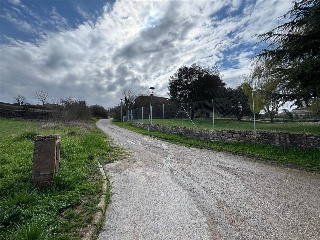 Rocabruna 19