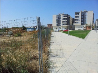 Benito Coll 13