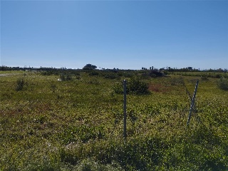 2 Ar - S2 Meca Alta  Jaral 5