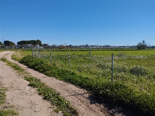 2 Ar - S2 Meca Alta  Jaral 6