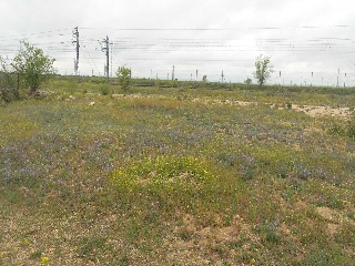 Otros en venta en Gineta (la)