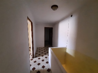 Calle Paloma 7