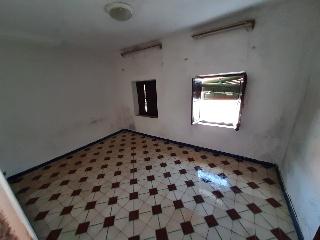 Calle Paloma 8