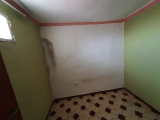 Calle Paloma 11