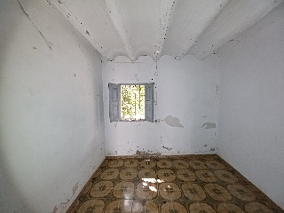 Calle Diseminados 7