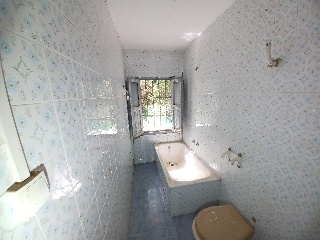 Calle Diseminados 19