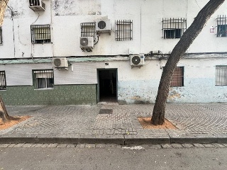 Calle Pino 2