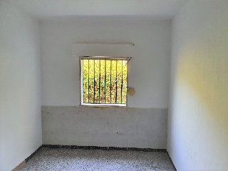 Camps De Betilla (Dels) 10