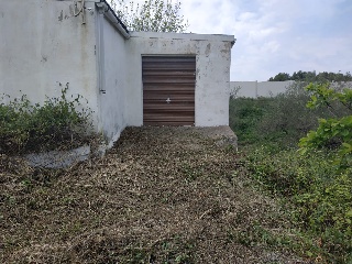 Camps De Betilla (Dels) 15