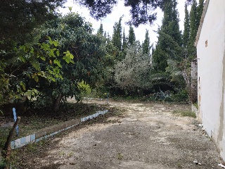 Camps De Betilla (Dels) 16