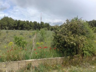 Pisos banco Lleida