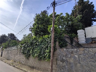 Bosc 4