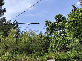 Bosc 5