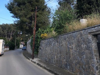 Bosc 7