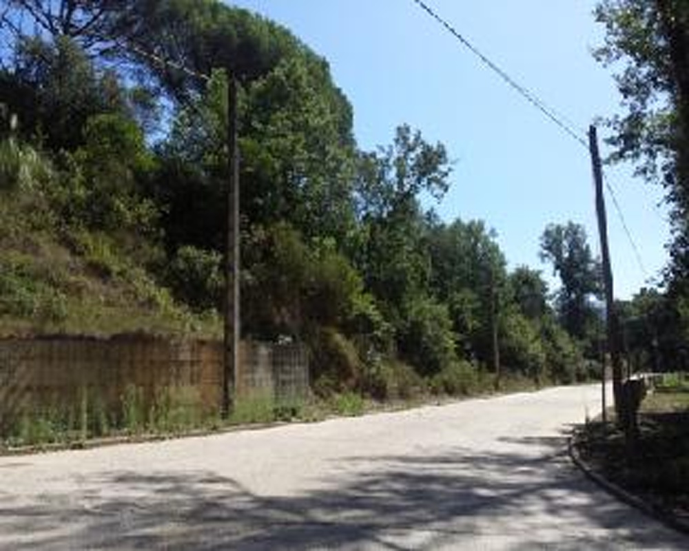 Junior Park