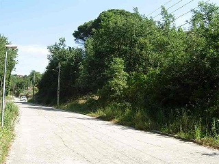 Junior Park 4