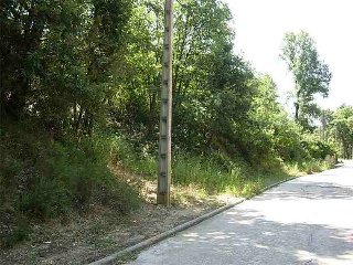 Junior Park 5