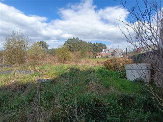 Muiño 7
