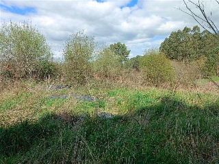 Muiño 12