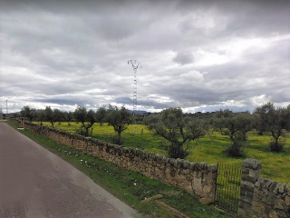 Fuente Concejo 6